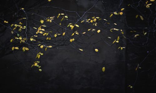 london leaves 3